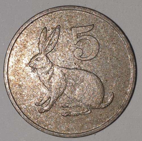 1991 - 5 CENT COIN - ZIMBABWE - (Copper-Nickel)